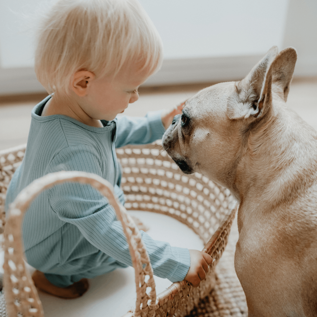 Pyjama | Essential Mint