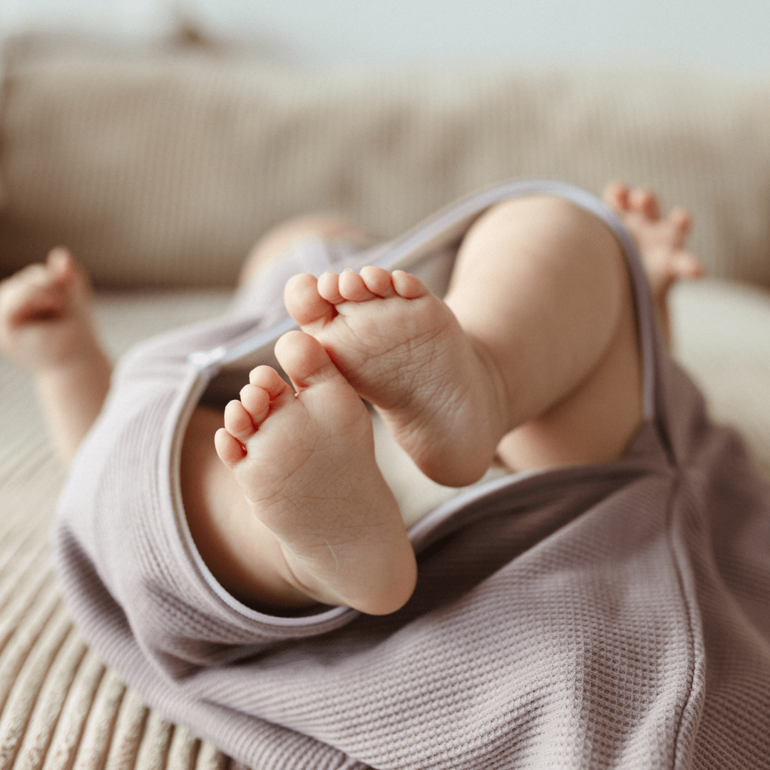 Slaapzak 1.0 TOG | Essential Berry